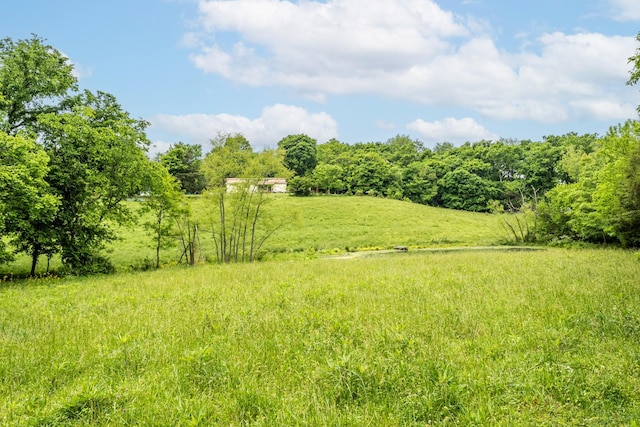 170 School House Ln, Castalian Springs, TN 37031 - view of undeveloped land featuring rural landscape
