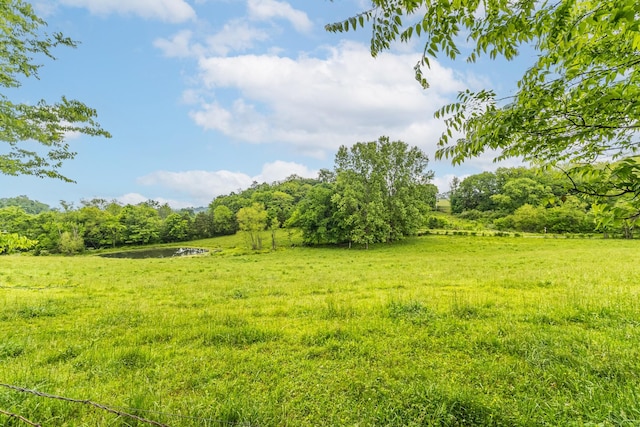 170 School House Ln, Castalian Springs, TN 37031 - view of local wilderness with a nearby body of water