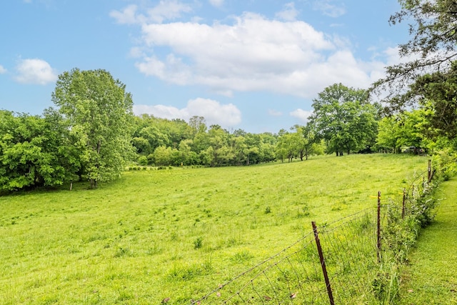 170 School House Ln, Castalian Springs, TN 37031 - view of yard featuring fence and a view of rural / pastoral area