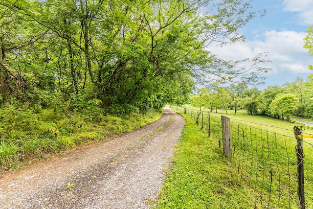 170 School House Ln, Castalian Springs, TN 37031 - view of road