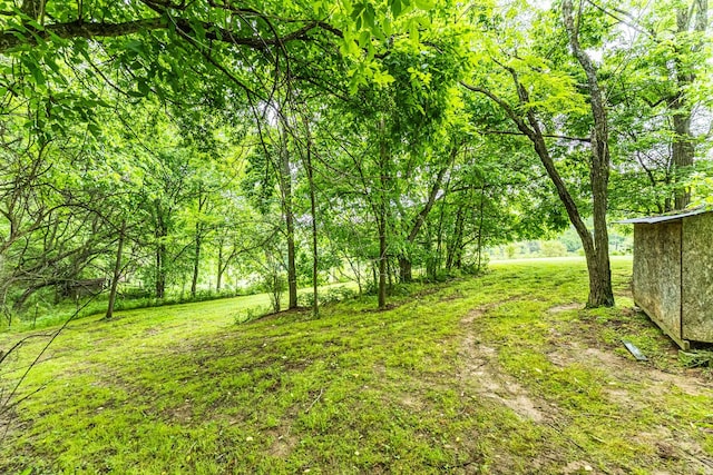 170 School House Ln, Castalian Springs, TN 37031 - view of grassy yard