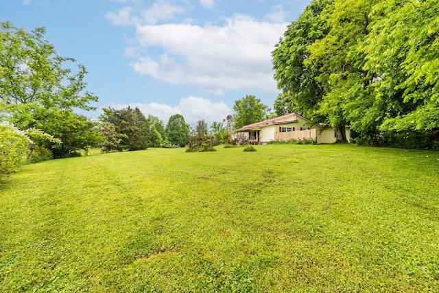 170 School House Ln, Castalian Springs, TN 37031 - view of green lawn