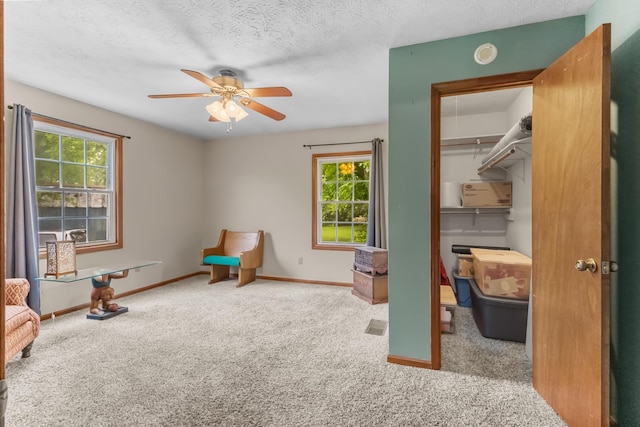 170 School House Ln, Castalian Springs, TN 37031 - living area with carpet flooring, healthy amount of natural light, a ceiling fan, baseboards, and a textured ceiling