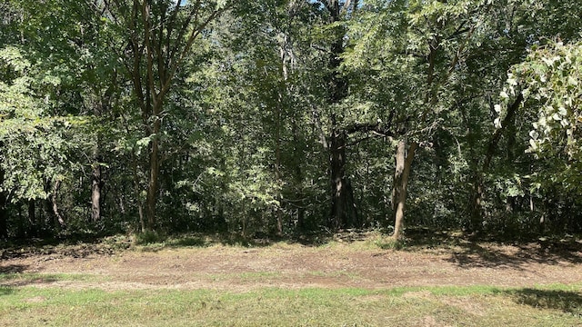0 Gravel Hill Rd, Bethpage, TN 37022