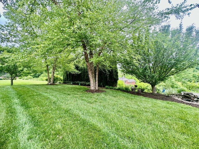 2520 Amberwood Way, Lebanon, TN 37090 - photo 48