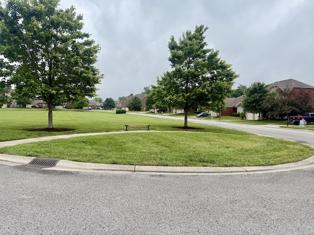 2520 Amberwood Way, Lebanon, TN 37090 - photo 24