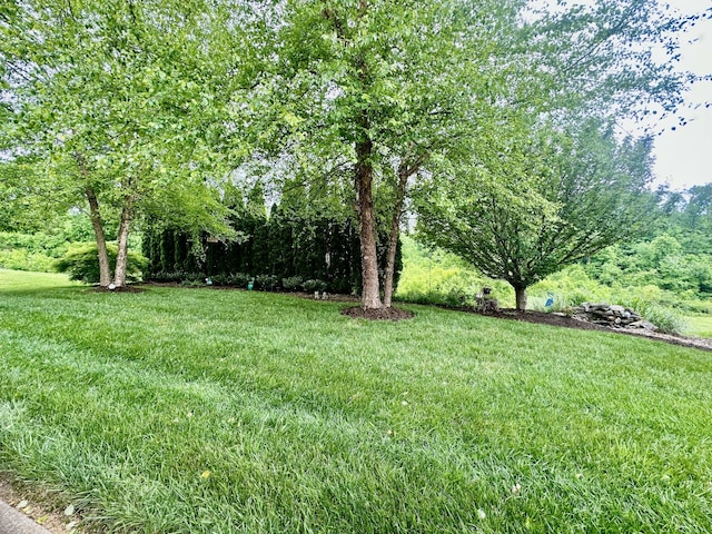 2520 Amberwood Way, Lebanon, TN 37090 - photo 38