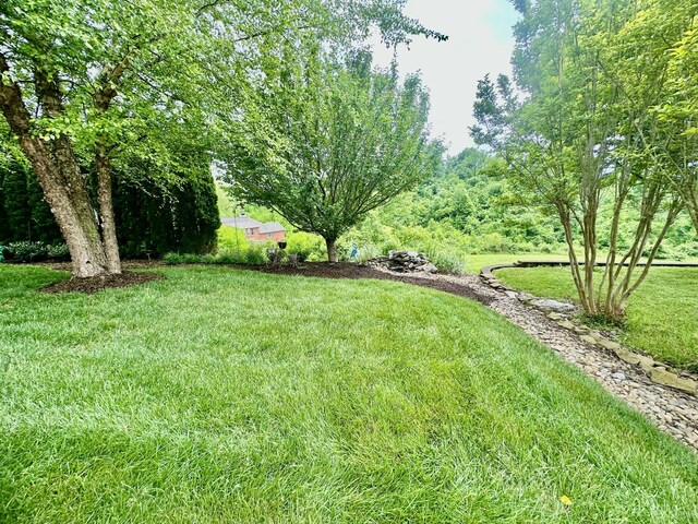 2520 Amberwood Way, Lebanon, TN 37090 - photo 29
