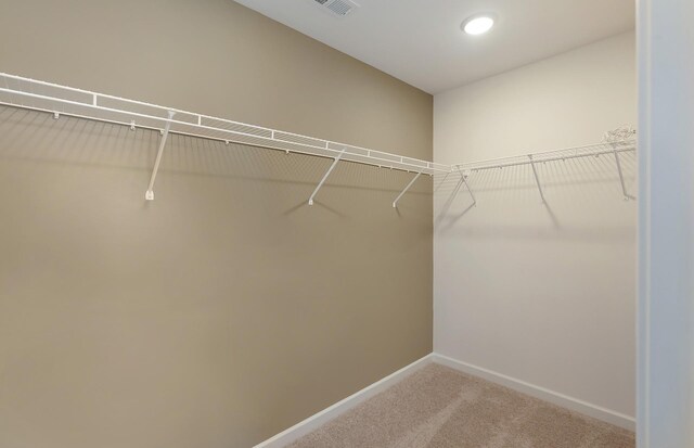 3292 Barrel Oak Pass, Columbia, TN 38401 - walk in closet with carpet flooring