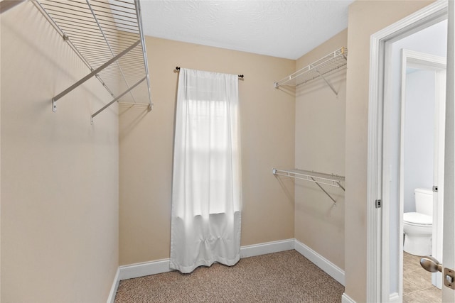 203 Abbigael Dr, Portland, TN 37148 - view of walk in closet