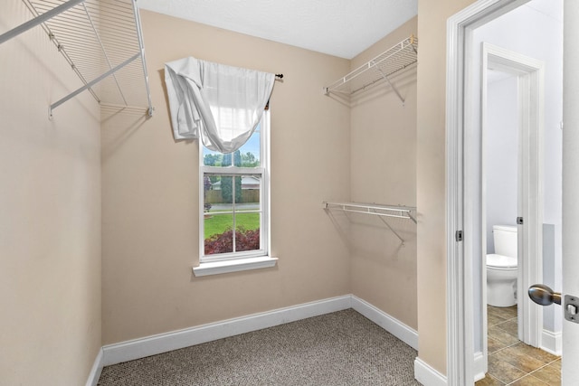 203 Abbigael Dr, Portland, TN 37148 - view of walk in closet