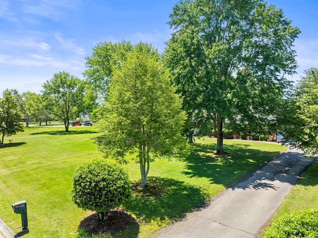view of community featuring a lawn