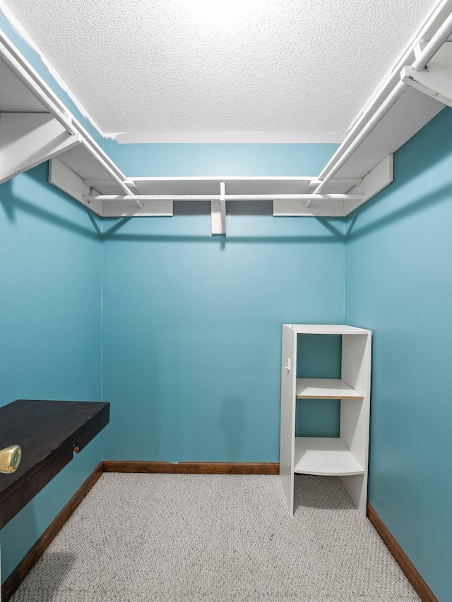 walk in closet featuring carpet floors