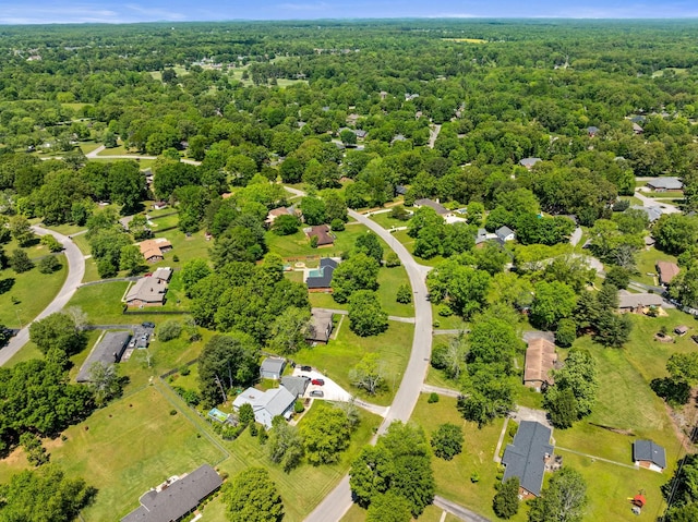 aerial view of a forest
