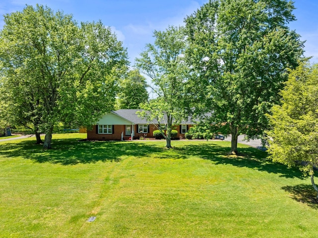 view of grassy yard