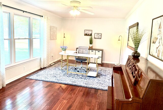 office featuring dark wood-type flooring, ornamental molding, a ceiling fan, and baseboards