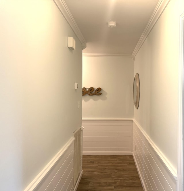 corridor with dark wood-style floors, a wainscoted wall, and ornamental molding