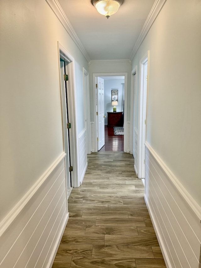 hallway featuring ornamental molding, wood finished floors, wainscoting, and a decorative wall