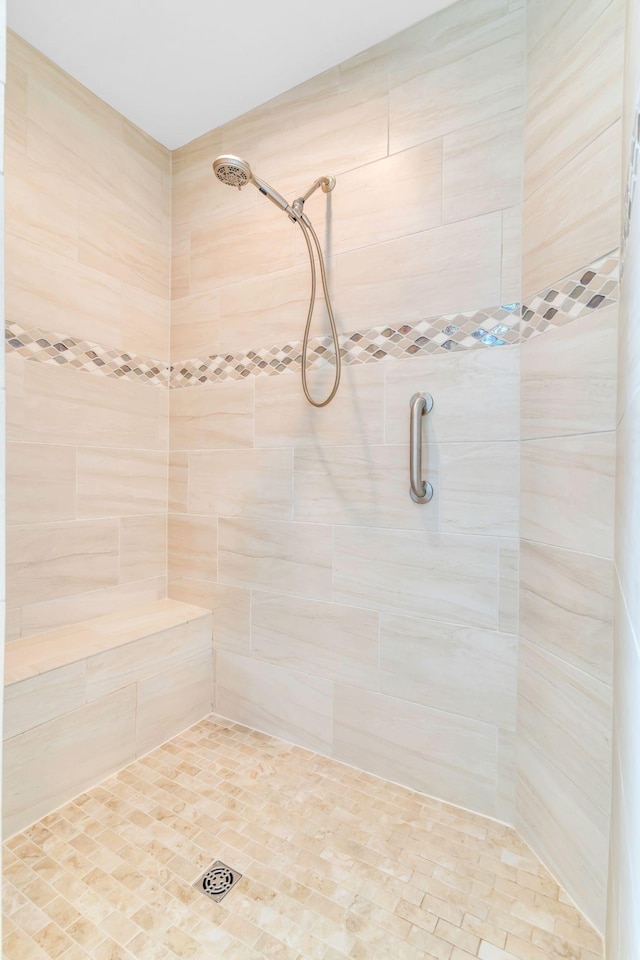1041 Albatross Way, Gallatin, TN 37066 - bathroom featuring tiled shower