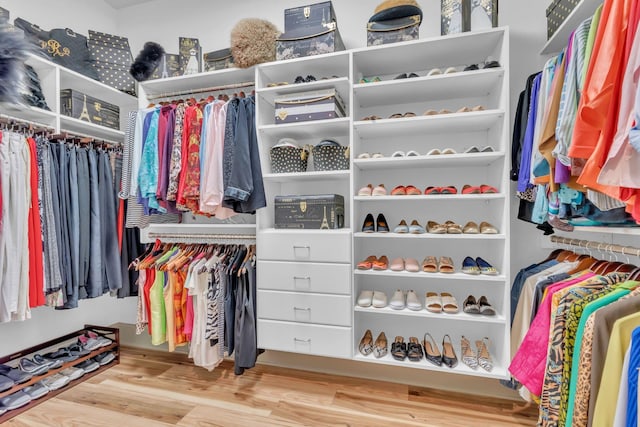 1041 Albatross Way, Gallatin, TN 37066 - spacious closet featuring wood finished floors