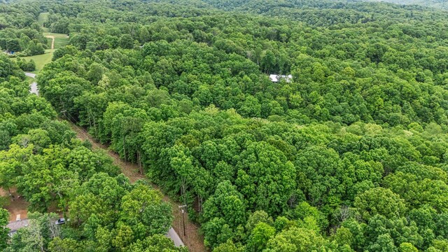 0 Higdon, Joelton, TN 37080 - photo 42