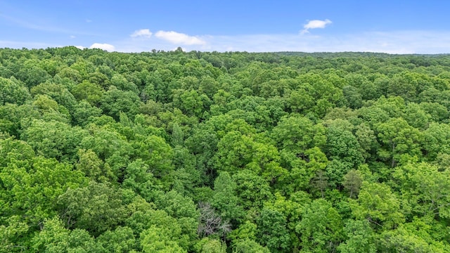0 Higdon, Joelton, TN 37080 - photo 26