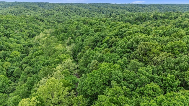 0 Higdon, Joelton, TN 37080 - photo 40