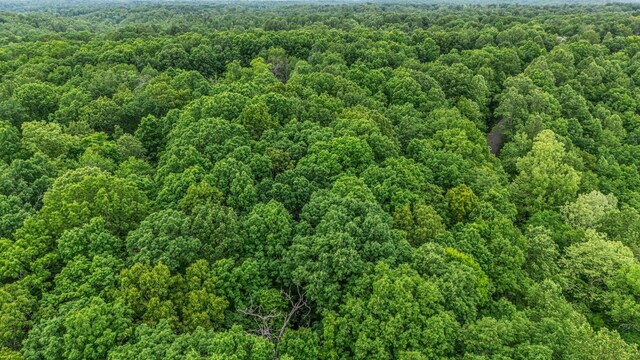 0 Higdon, Joelton, TN 37080 - photo 38