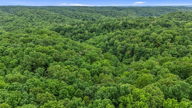 0 Higdon, Joelton, TN 37080 - photo 36
