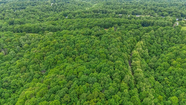 0 Higdon, Joelton, TN 37080 - photo 32