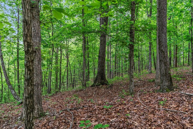 0 Higdon, Joelton, TN 37080 - photo 15
