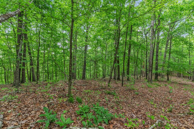 0 Higdon, Joelton, TN 37080 - photo 18