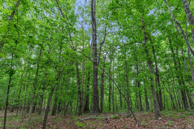 0 Higdon, Joelton, TN 37080 - photo 21