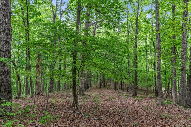 0 Higdon, Joelton, TN 37080 - photo 13