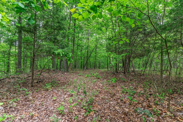 0 Higdon, Joelton, TN 37080 - photo 16