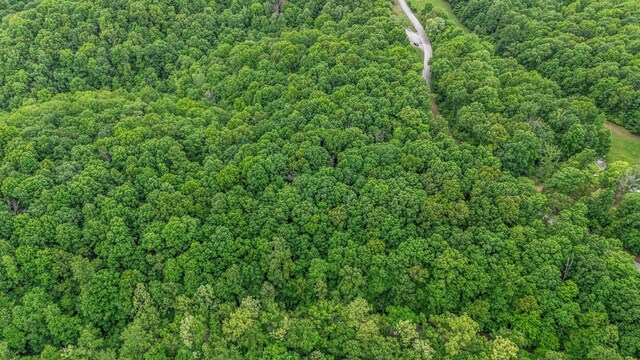 0 Higdon, Joelton, TN 37080 - photo 34