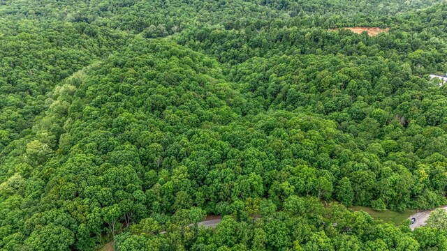 0 Higdon, Joelton, TN 37080 - photo 29