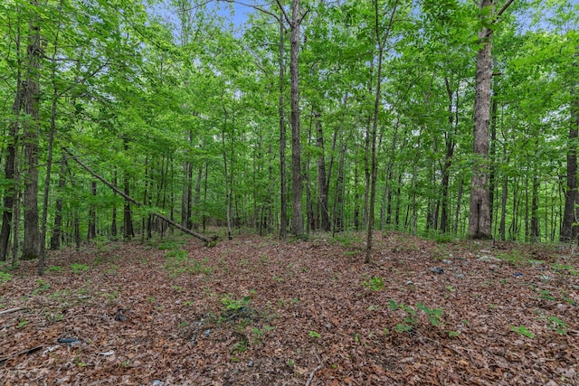 0 Higdon, Joelton, TN 37080 - photo 4