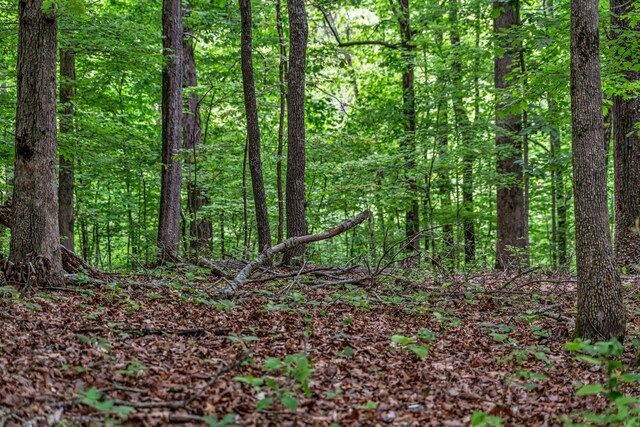 0 Higdon, Joelton, TN 37080 - photo 5