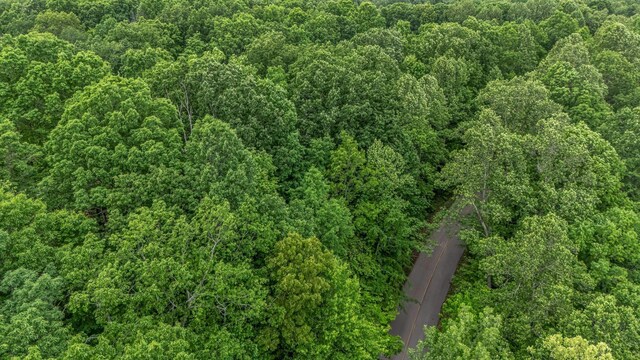 0 Higdon, Joelton, TN 37080 - photo 39