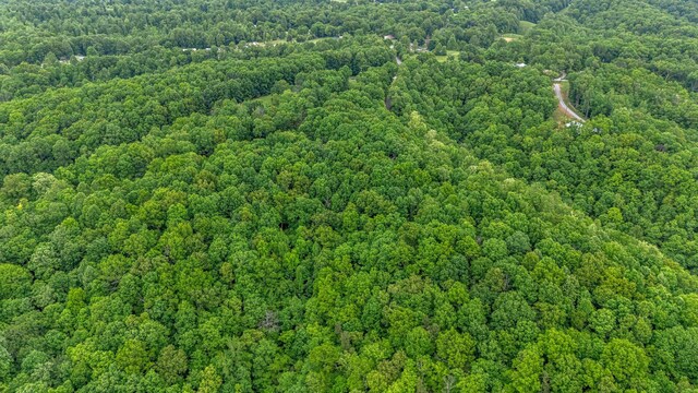 0 Higdon, Joelton, TN 37080 - photo 31