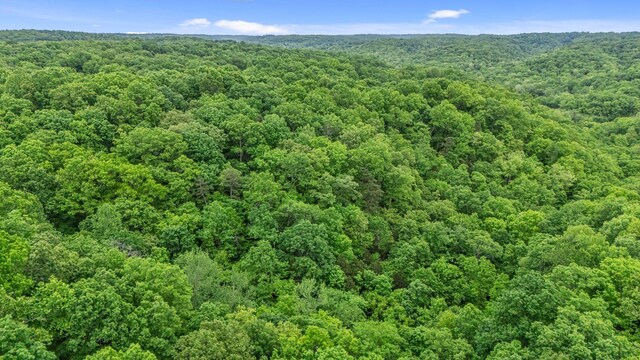 0 Higdon, Joelton, TN 37080 - photo 25