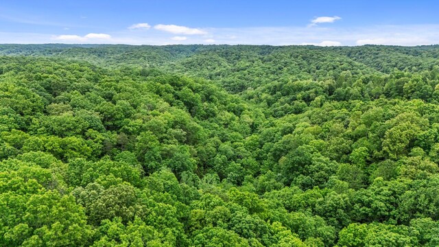 0 Higdon, Joelton, TN 37080 - photo 24
