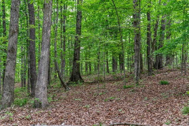 0 Higdon, Joelton, TN 37080 - photo 6
