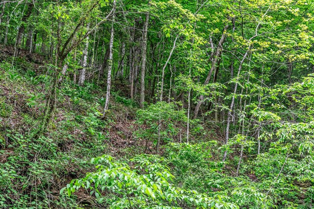 0 Higdon, Joelton, TN 37080 - photo 8