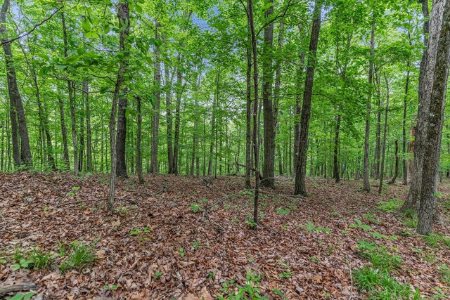 0 Higdon, Joelton, TN 37080 - photo 23