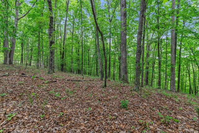 0 Higdon, Joelton, TN 37080 - photo 11