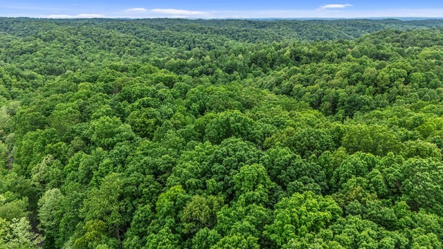0 Higdon, Joelton, TN 37080 - photo 41