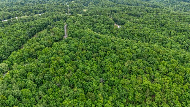 0 Higdon, Joelton, TN 37080 - photo 30