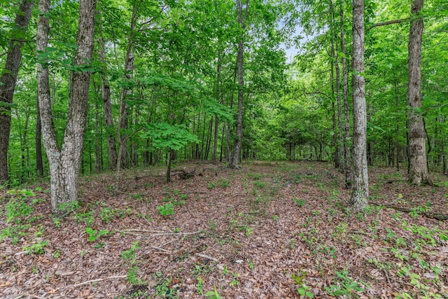 0 Higdon, Joelton, TN 37080 - photo 3